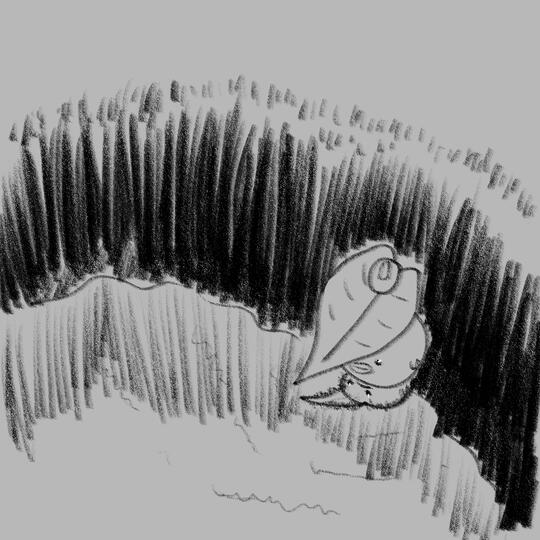 Korp at water's edge Korp at water's edge