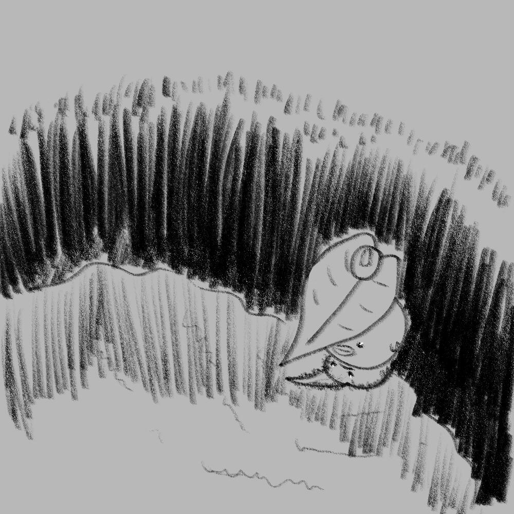 Korp at water's edge